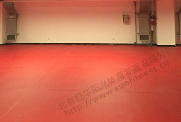 北京舒华阳光 场馆照明 室内乒乓球  PVC