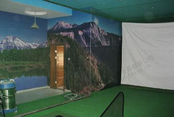 北京舒华阳光 室内健身 智能 模拟高尔夫  